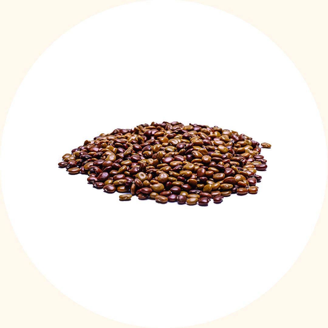 Cover Crop Seeds | Calopogonium caeruleum (CC) - Chemiseed Sdn. Bhd.