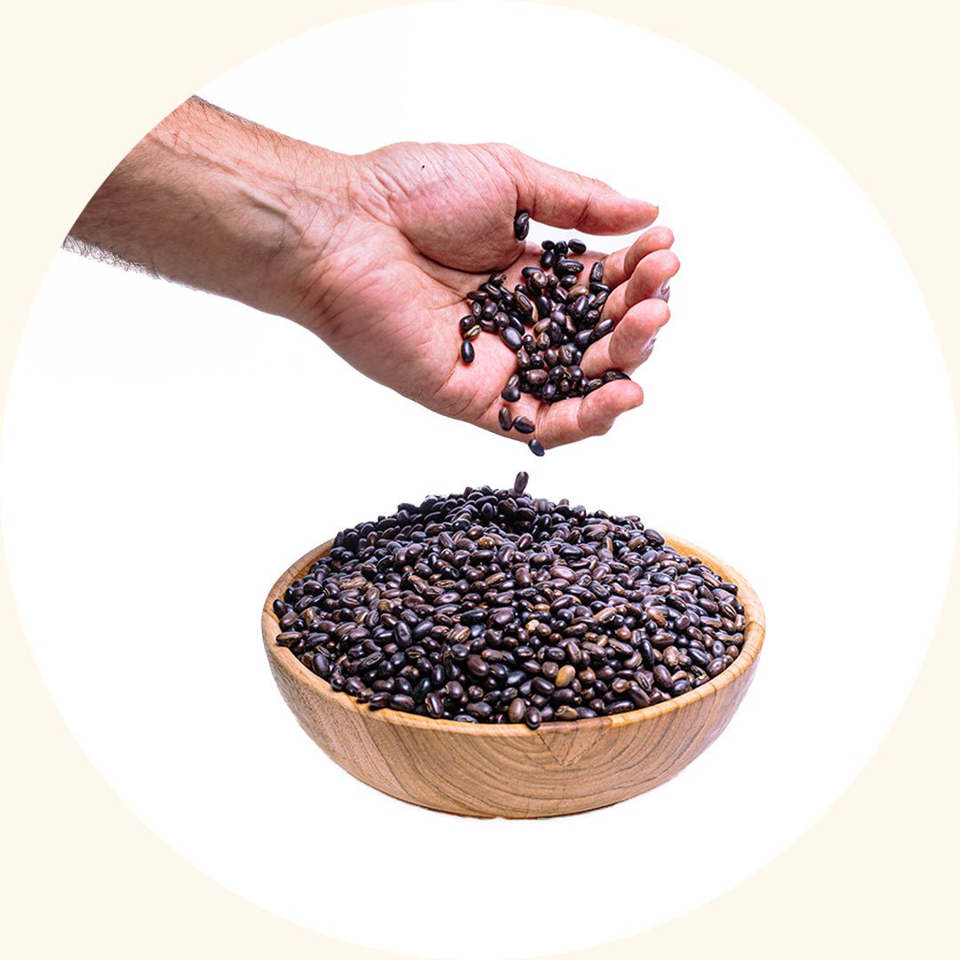 Benih Tanaman Penutup | Mucuna bracteata (MB) - Chemiseed Sdn. Bhd.