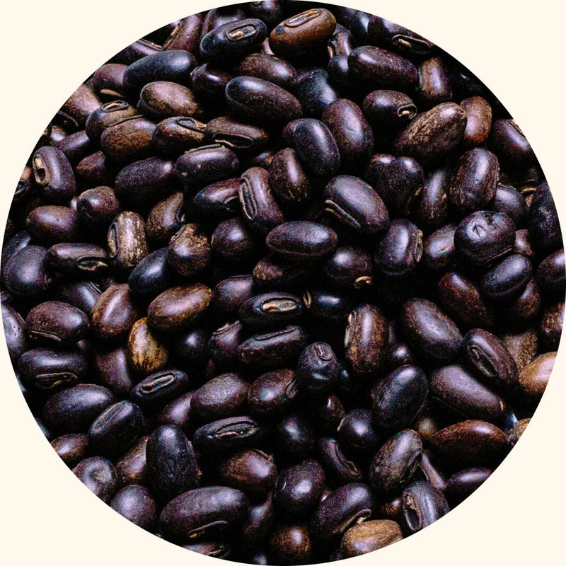 Semillas de Cultivos de Cobertura | Mucuna bracteata (MB) - Chemiseed Sdn. Bhd.