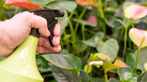 After the Drought: How Amino Acid Foliar Sprays Help Oil Palm and Rubber Recover Faster - Chemiseed Sdn. Bhd.