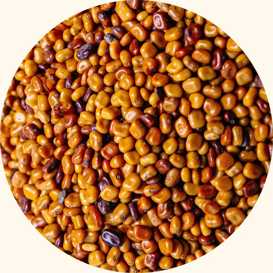 Calopogonium Mucunoides (CM)：用于年轻油棕种植区的水土保持——Chemiseed Sdn. Bhd.