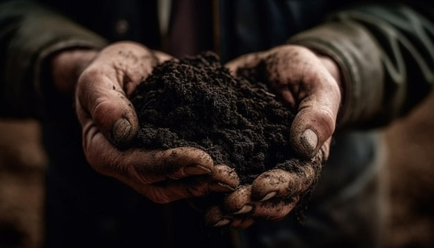 Farmer hands holding seedling — RSPO Independent Smallholder standard 2024 Malaysia