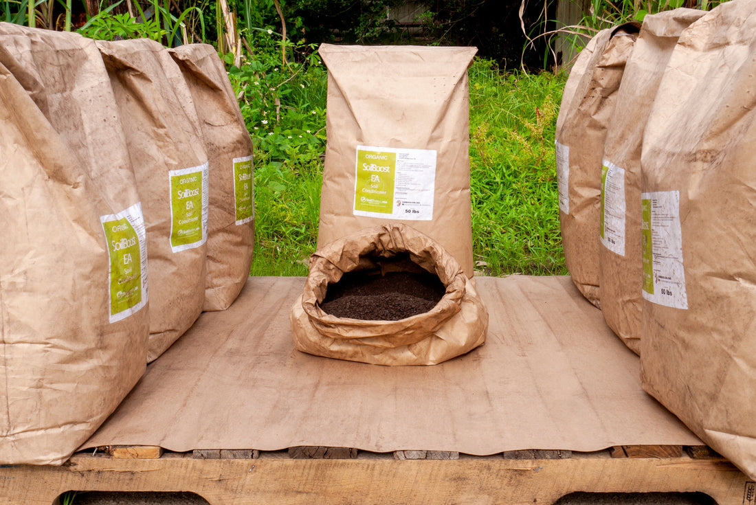 How SoilBoost EA improves soil health & crop yields - Chemiseed Sdn. Bhd.
