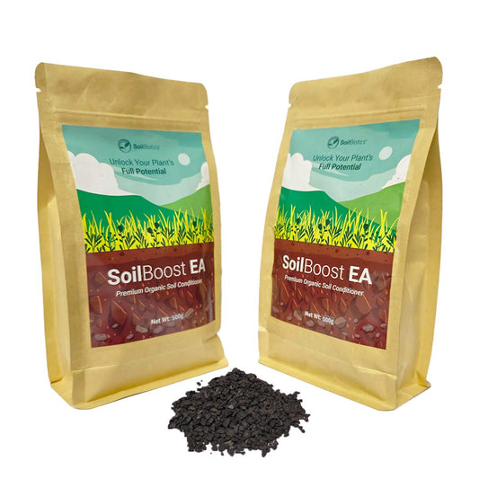 SoilBoost EA 如何改善土壤健康与作物产量 | Chemiseed - Chemiseed 私人有限公司