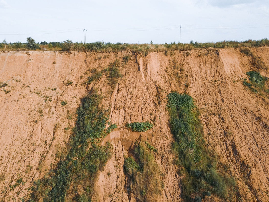 Humic acid soil conditioners for degraded plantation soils - Chemiseed Sdn. Bhd.