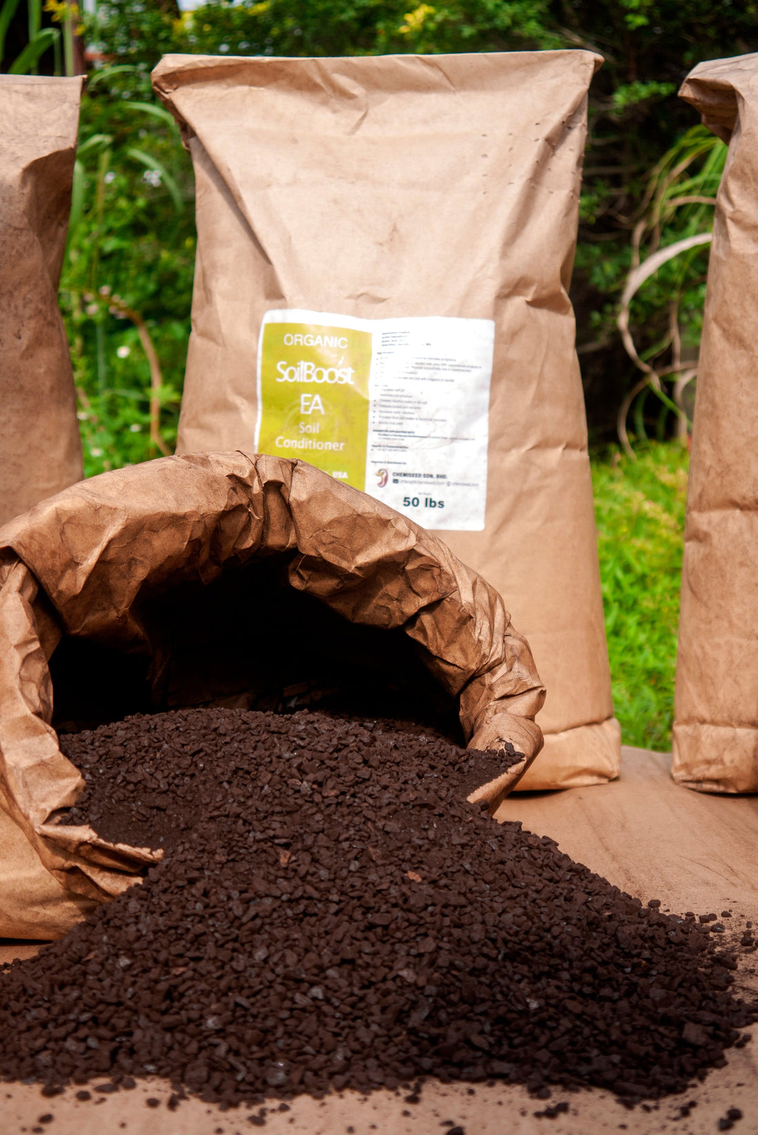 Maximise SoilBoost EA: practical application tips for plantation managers - Chemiseed Sdn. Bhd.