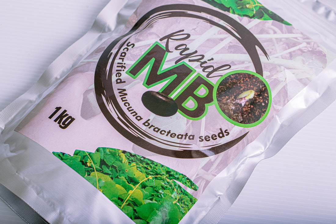 Mucuna bracteata in oil palm: a field guide for distributors and estate managers - Chemiseed Sdn. Bhd.