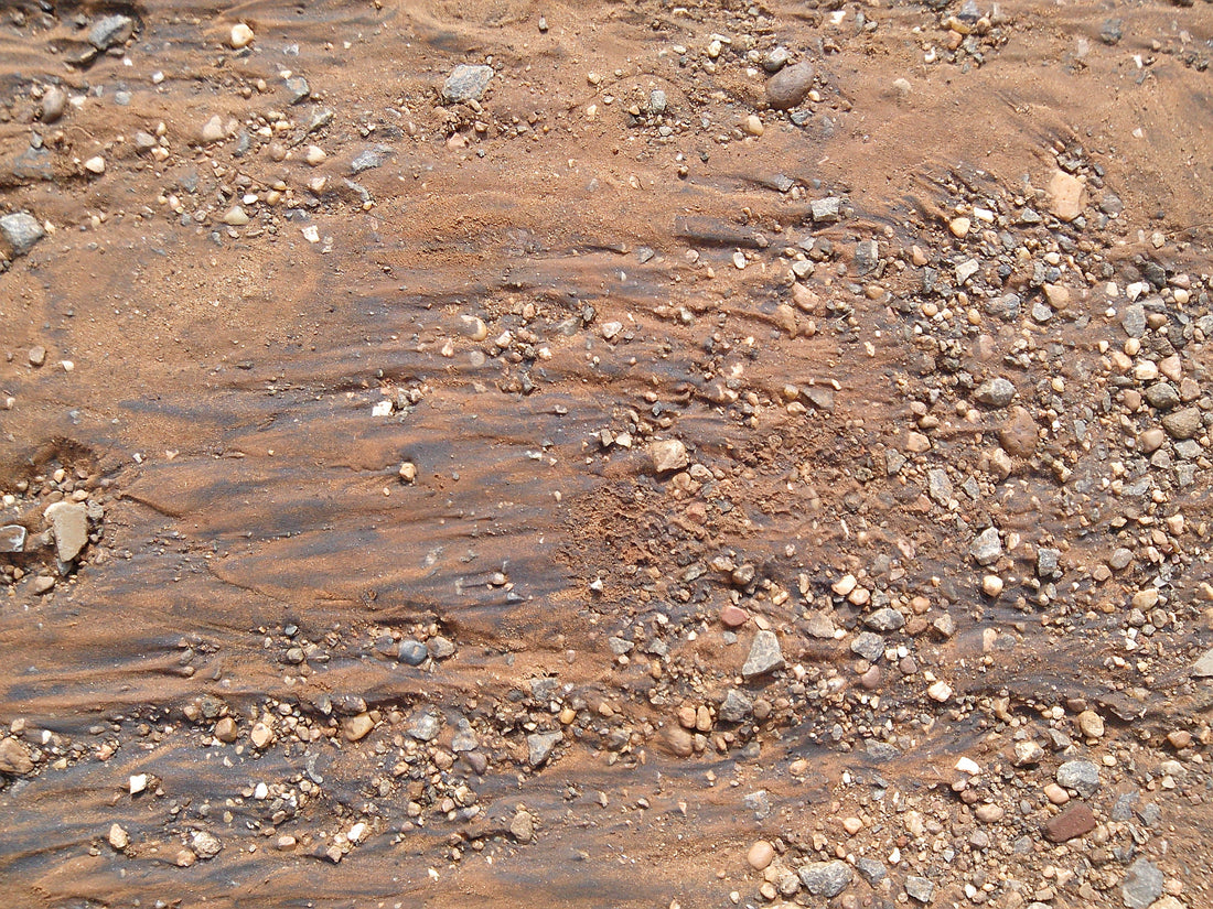 Soil Erosion on Sloping Oil Palm Land in Malaysia: Why Cover Crops Outperform Every Other Control Method - Chemiseed Sdn. Bhd.
