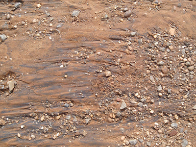 Soil Erosion on Sloping Oil Palm Land in Malaysia: Why Cover Crops Outperform Every Other Control Method