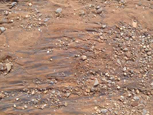 Soil Erosion on Sloping Oil Palm Land in Malaysia: Why Cover Crops Outperform Every Other Control Method - Chemiseed Sdn. Bhd.