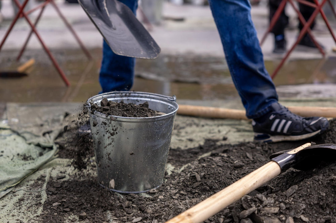 Soil health assessment: a practical checklist and resource guide for estate managers - Chemiseed Sdn. Bhd.
