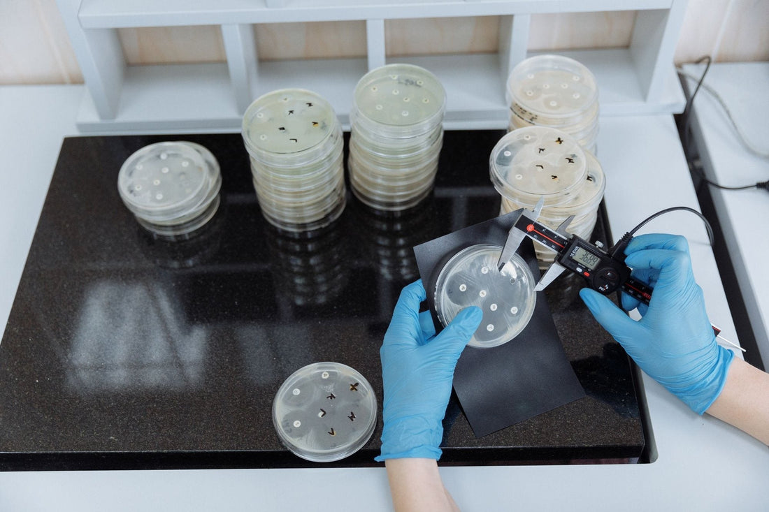 Soil microbiome testing for estates: what is worth measuring - Chemiseed Sdn. Bhd.