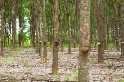 The cost stack: cover crop vs herbicide vs manual weeding