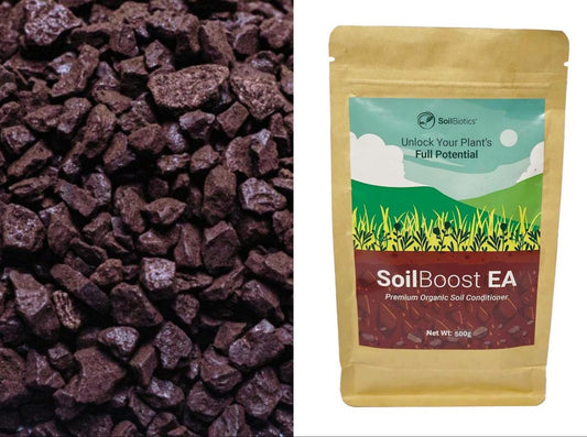 土壤健康的科学原理：入门指南 | Chemiseed - Chemiseed Sdn. Bhd.