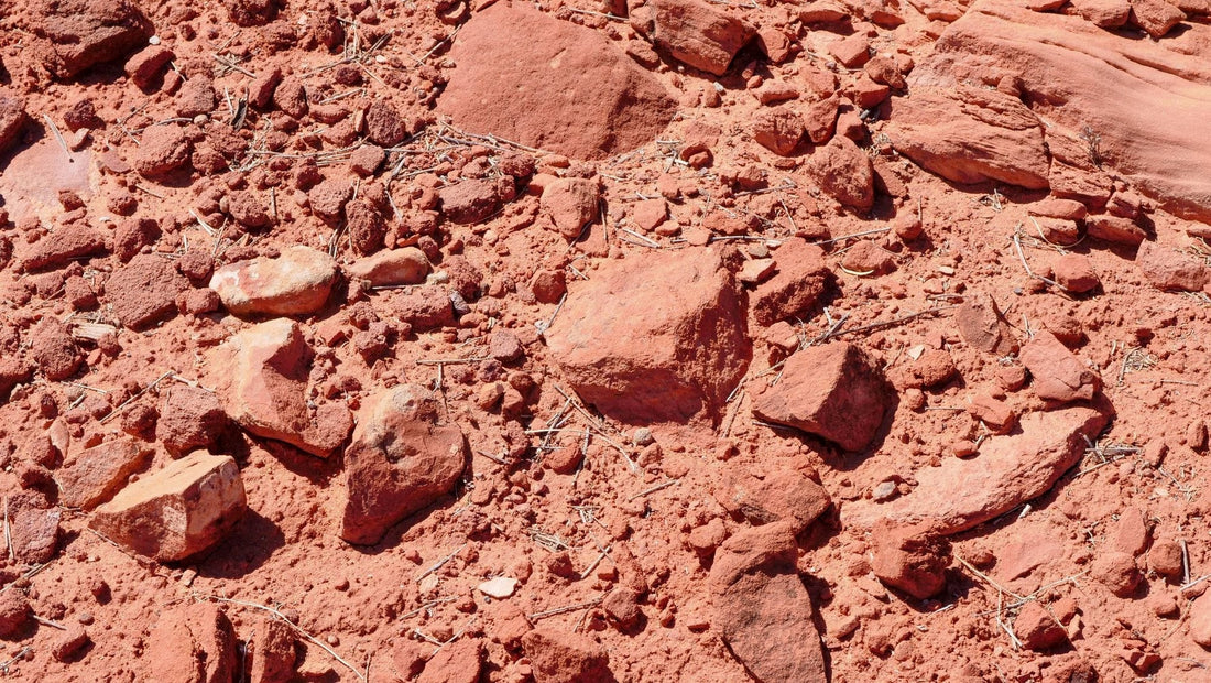 Where does your phosphorus fertiliser actually go? The fixation problem in Malaysian soils - Chemiseed Sdn. Bhd.