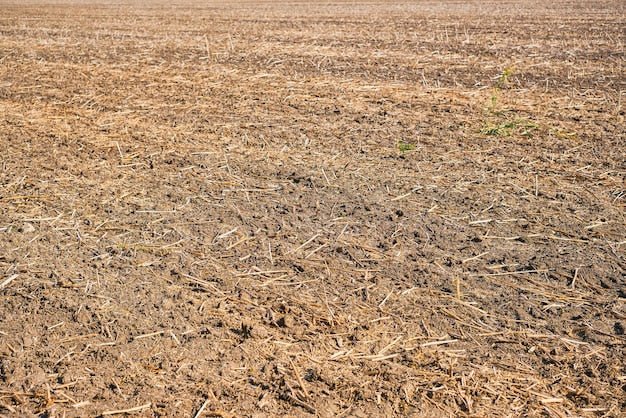 Your Fertiliser Is Not Working as Hard as It Could. Soil pH Is Usually the Reason. - Chemiseed Sdn. Bhd.