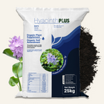 Hyacinth Plus
