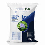 Hyacinth Plus