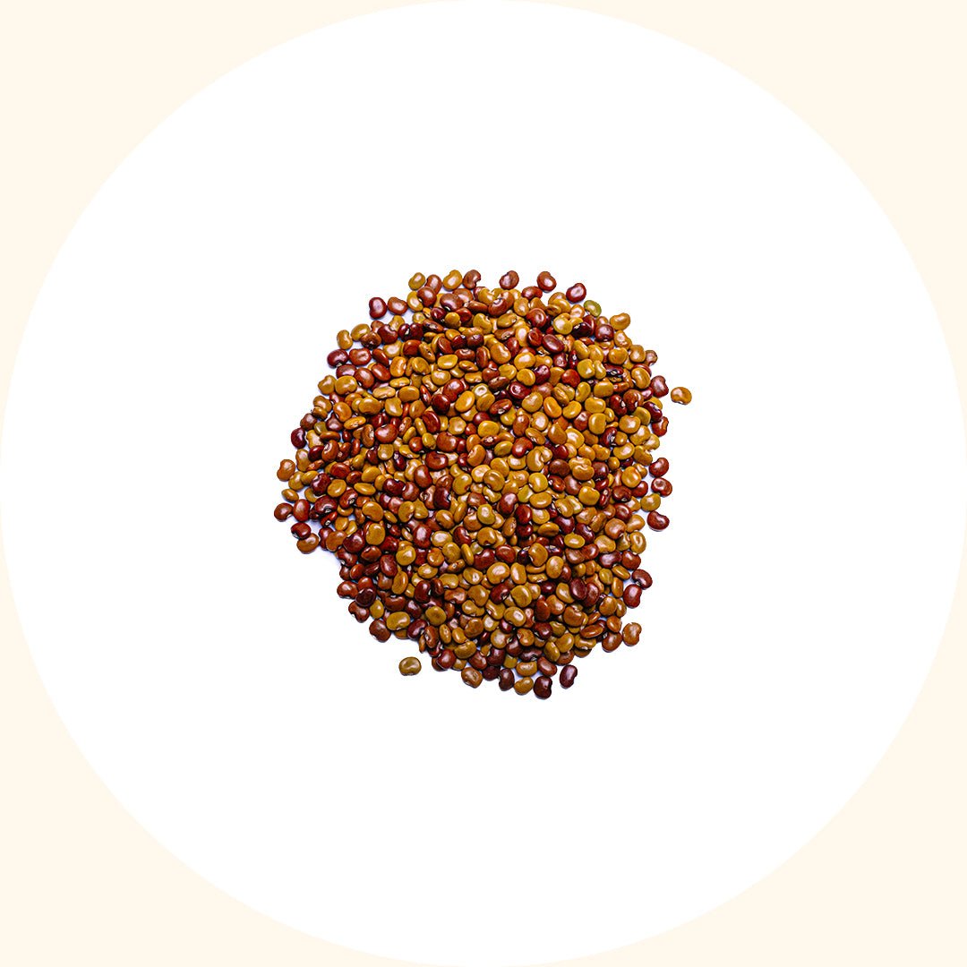 Cover Crop Seeds | Calopogonium caeruleum (CC) - Chemiseed Sdn. Bhd.