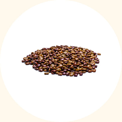 Cover Crop Seeds | Calopogonium caeruleum (CC) - Chemiseed Sdn. Bhd.