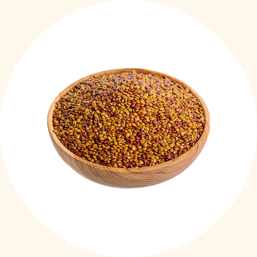 Cover Crop Seeds | Calopogonium caeruleum (CC) - Chemiseed Sdn. Bhd.