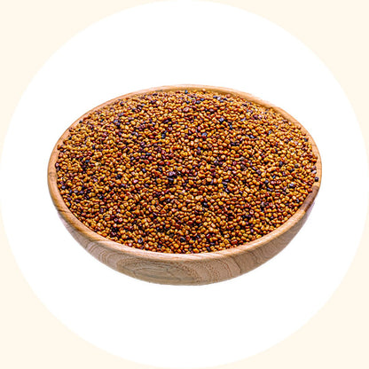 Cover Crop Seeds | Calopogonium mucunoides (CM) - Chemiseed Sdn. Bhd.