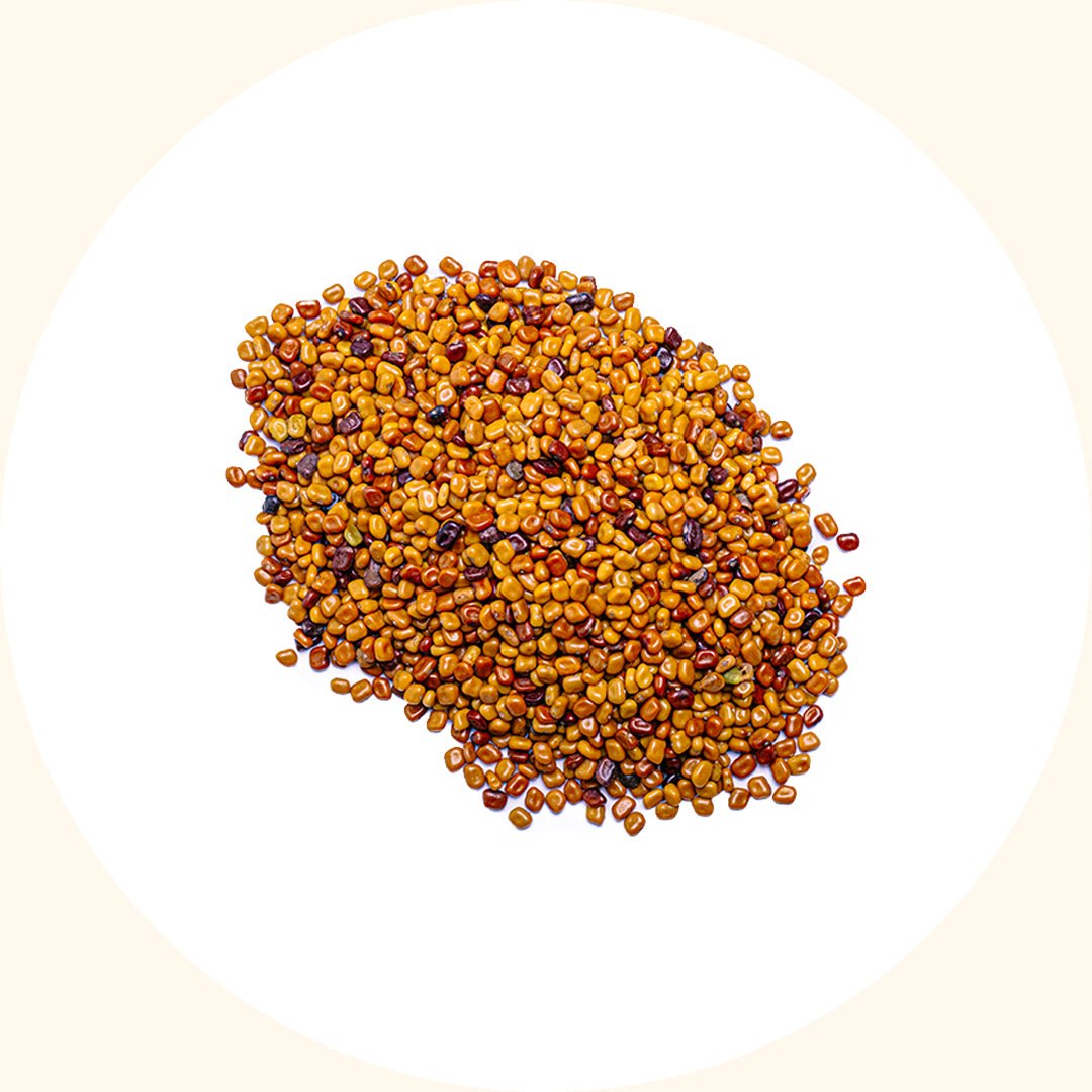 Cover Crop Seeds | Calopogonium mucunoides (CM) - Chemiseed Sdn. Bhd.