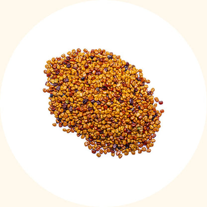 Cover Crop Seeds | Calopogonium mucunoides (CM) - Chemiseed Sdn. Bhd.