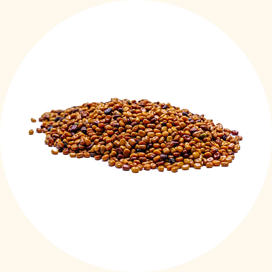Cover Crop Seeds | Calopogonium mucunoides (CM) - Chemiseed Sdn. Bhd.