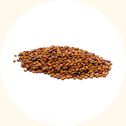 Cover Crop Seeds | Calopogonium mucunoides (CM) - Chemiseed Sdn. Bhd.