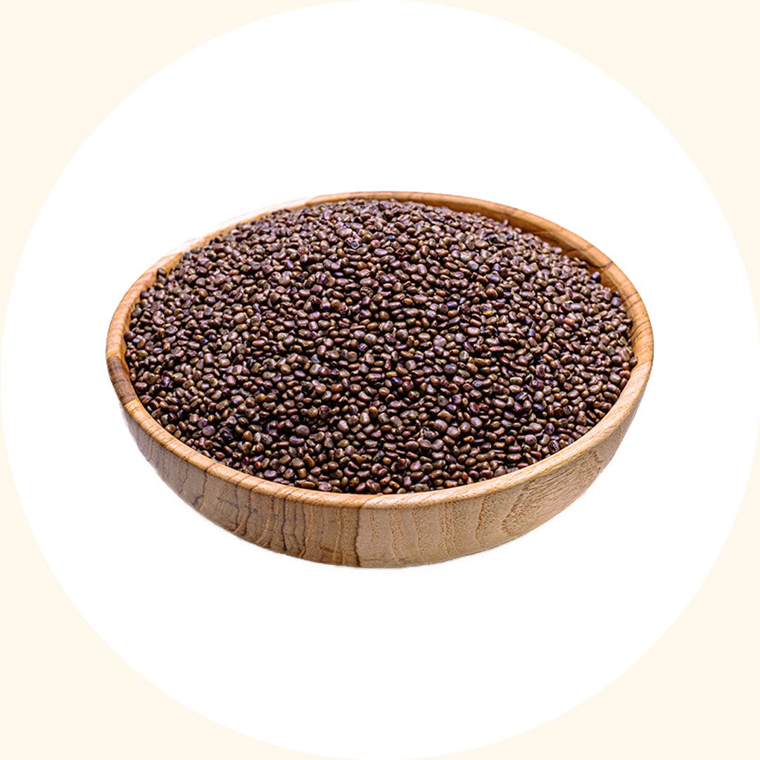 Cover Crop Seeds | Centrosema pubescens (CP) - Chemiseed Sdn. Bhd.