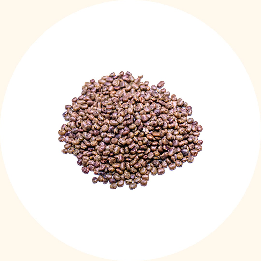 Cover Crop Seeds | Centrosema pubescens (CP) - Chemiseed Sdn. Bhd.