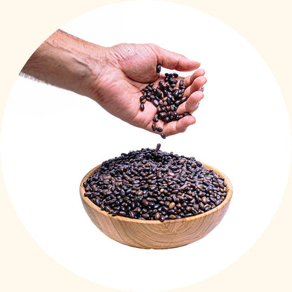 Benih Tanaman Penutup | Mucuna bracteata (MB) - Chemiseed Sdn. Bhd.