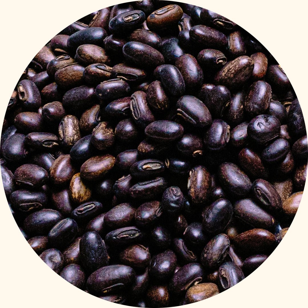 Benih Tanaman Penutup | Mucuna bracteata (MB) - Chemiseed Sdn. Bhd.