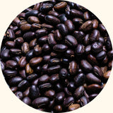 Mucuna bracteata cover crop seeds by Chemiseed