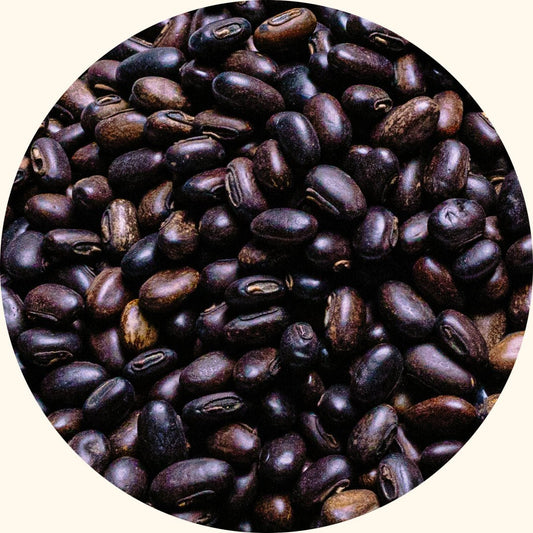 Cover Crop Seeds | Mucuna bracteata (MB) - Chemiseed Sdn. Bhd.