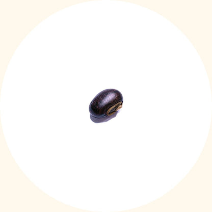 Benih Tanaman Penutup | Mucuna bracteata (MB) - Chemiseed Sdn. Bhd.