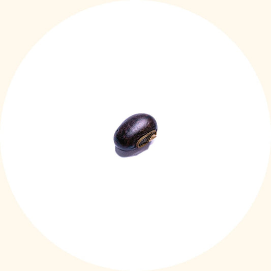 Cover Crop Seeds | Mucuna bracteata (MB) - Chemiseed Sdn. Bhd.