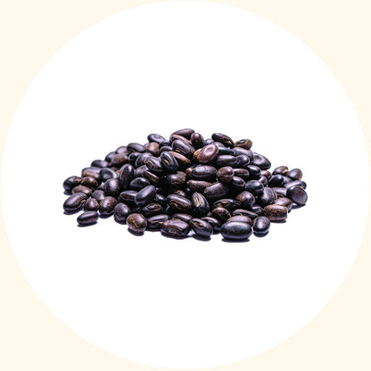 Benih Tanaman Penutup | Mucuna bracteata (MB) - Chemiseed Sdn. Bhd.