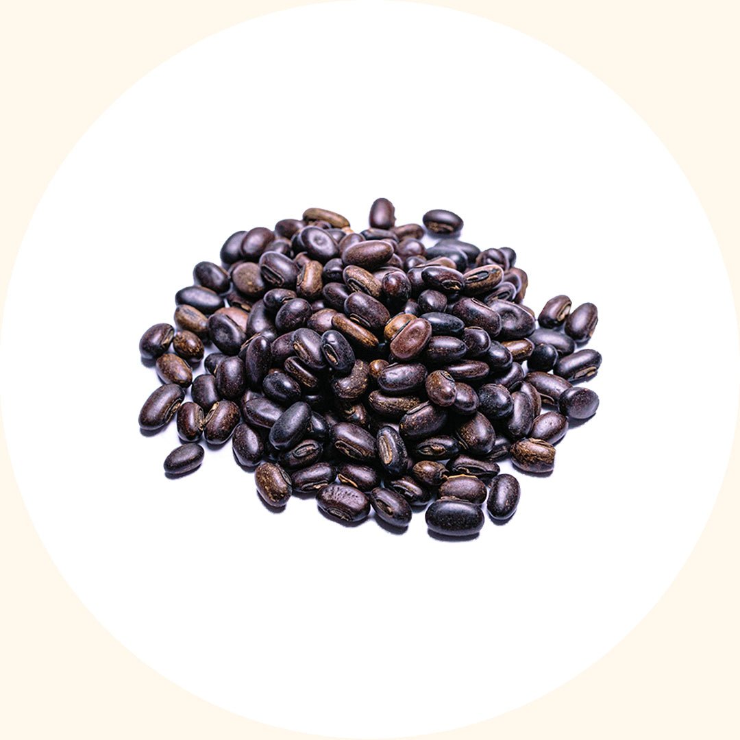 Benih Tanaman Penutup | Mucuna bracteata (MB) - Chemiseed Sdn. Bhd.
