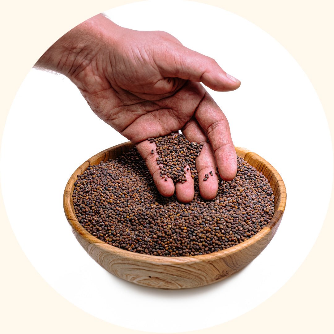 Cover Crop Seeds | Pueraria javanica (PJ) - Chemiseed Sdn. Bhd.