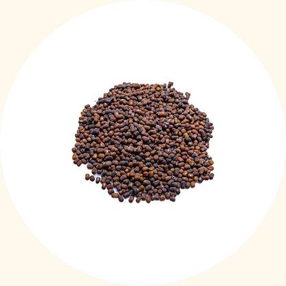 Cover Crop Seeds | Pueraria javanica (PJ) - Chemiseed Sdn. Bhd.