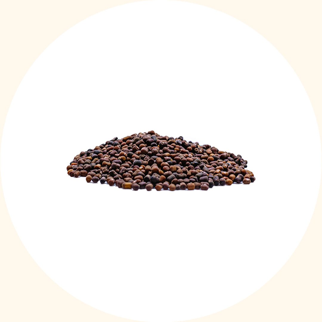 Cover Crop Seeds | Pueraria javanica (PJ) - Chemiseed Sdn. Bhd.