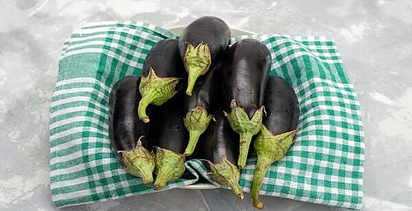 Eggplant Long Purple Seeds