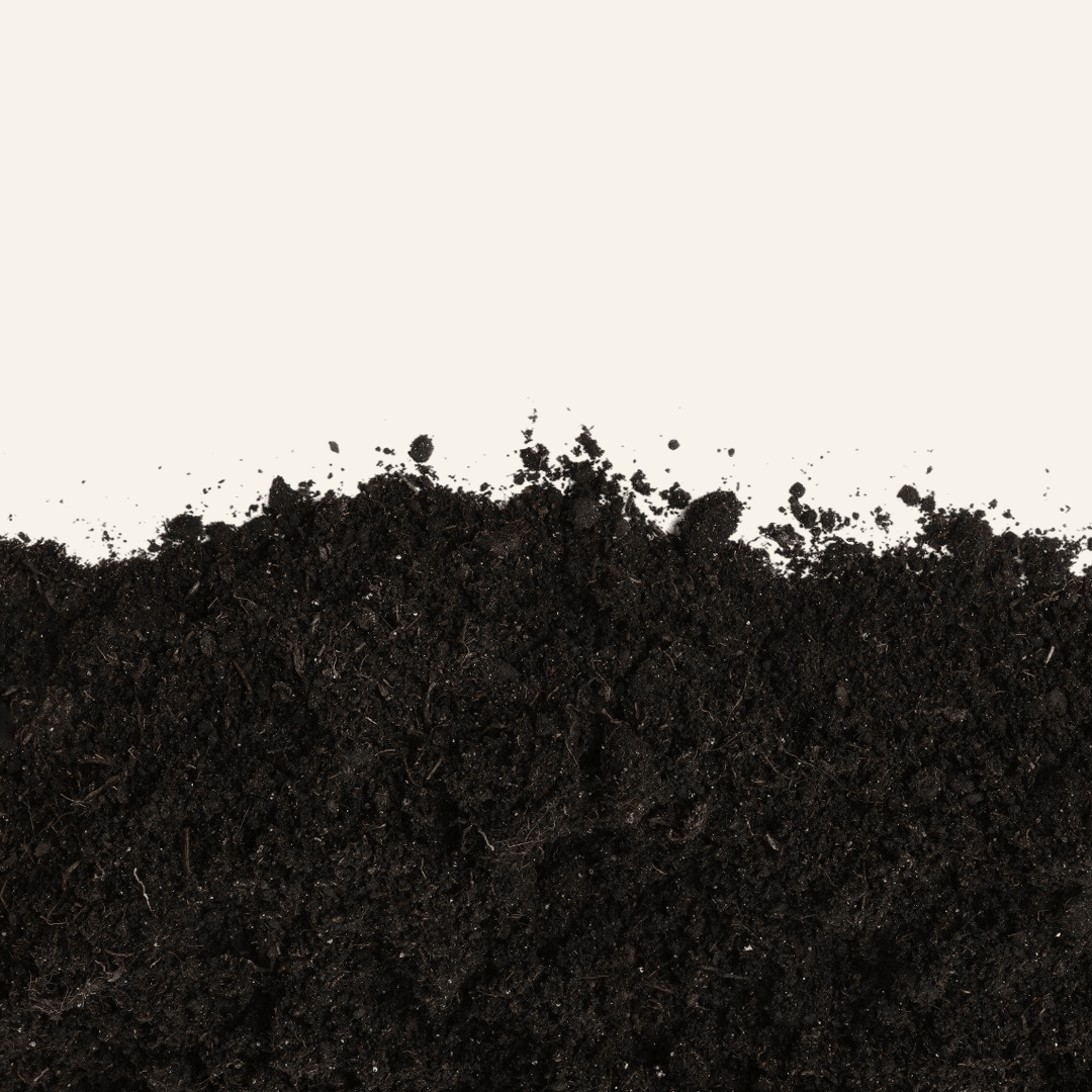 Hyacinth Plus organic supplement supporting vigorous growth and soil fertility