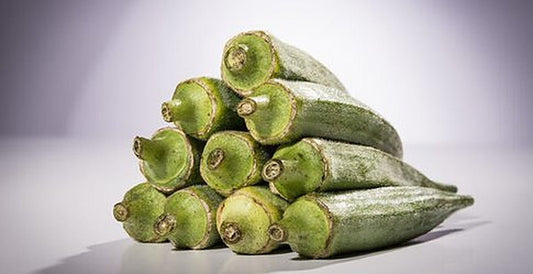 Okra Smooth Green Seeds - Chemiseed Sdn. Bhd.