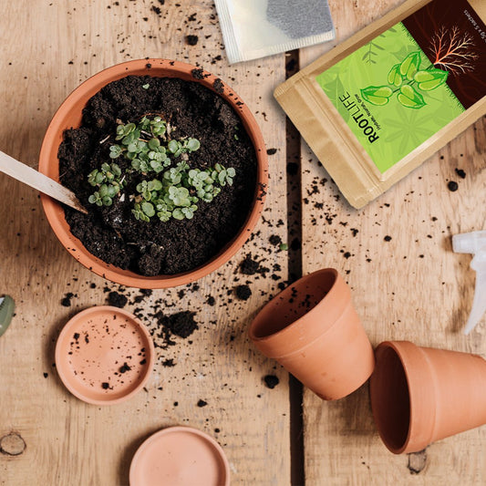Rootlife sachet | The Organic water & Nutrient Reservoir for Plants - Chemiseed Sdn. Bhd.