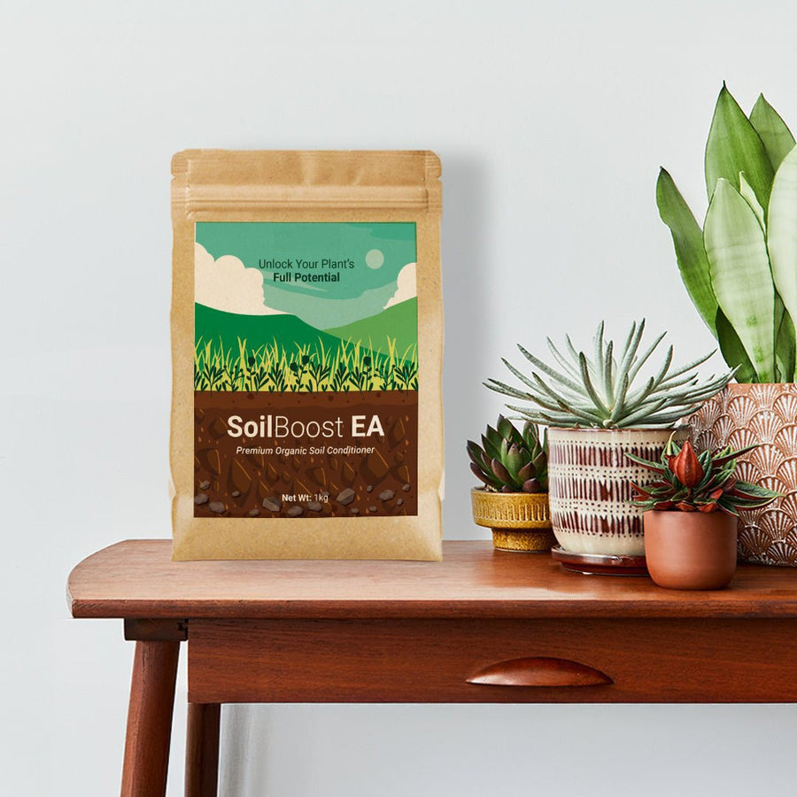 Soil Conditioner | SoilBoost EA 1kg - Chemiseed Sdn. Bhd.