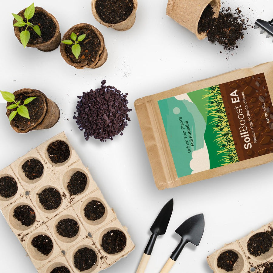 Soil Conditioner| SoilBoost EA 500g - Chemiseed Sdn. Bhd.